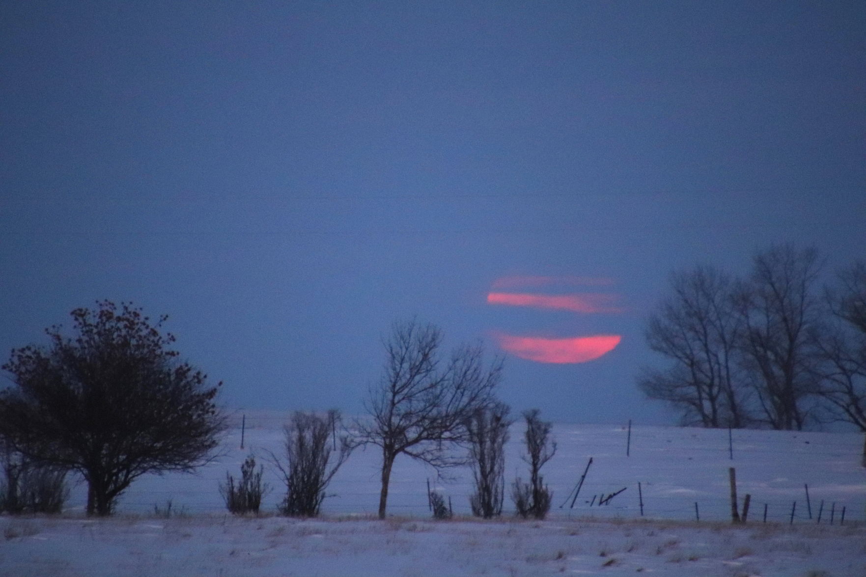 Super Moon Delight
